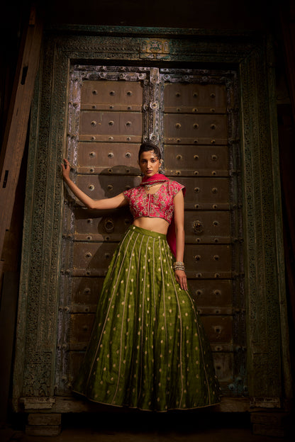 Banarasi Ghagra