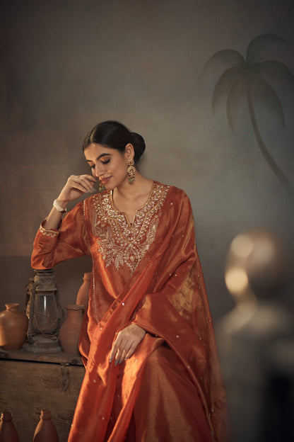 Nawabi Tisuue Kurta Set